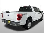 2021 F-150 Thumbnail 31