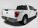 2021 F-150 Thumbnail 29