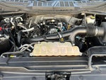 2021 F-150 Thumbnail 19