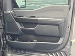 2021 F-150 Thumbnail 6