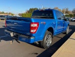 2021 F-150 Thumbnail 10