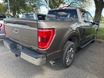 2021 F-150 Thumbnail 5