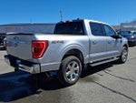 2021 F-150 Thumbnail 6