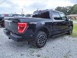 2021 F-150 Thumbnail 4