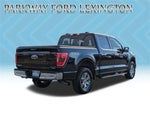 2021 F-150 Thumbnail 5