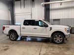 2021 F-150 Thumbnail 2