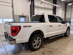 2021 F-150 Thumbnail 3
