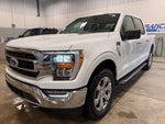 2021 F-150 Thumbnail 8