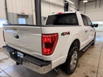 2021 F-150 Thumbnail 13