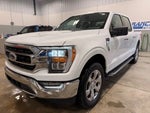 2021 F-150 Thumbnail 2