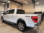 2021 F-150 Thumbnail 4