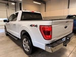 2021 F-150 Thumbnail 6