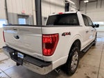 2021 F-150 Thumbnail 8