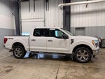 2021 F-150 Thumbnail 9