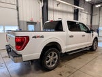 2021 F-150 Thumbnail 18