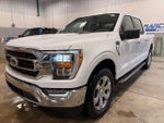 2021 F-150 Thumbnail 2