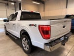 2021 F-150 Thumbnail 6