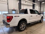 2021 F-150 Thumbnail 10