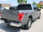 2021 F-150 Thumbnail 5