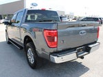 2021 F-150 Thumbnail 8