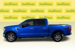 2021 F-150 Thumbnail 11