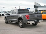 2022 F-150 Thumbnail 8