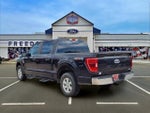 2022 F-150 Thumbnail 5