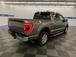 2022 F-150 Thumbnail 8