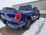 2022 F-150 Thumbnail 6