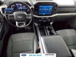 2022 F-150 Thumbnail 16