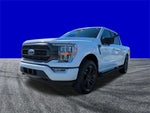 2022 F-150 Thumbnail 8