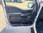 2023 F-150 Thumbnail 13