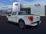2023 F-150 Thumbnail 4