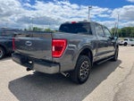 2023 F-150 Thumbnail 4