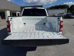 2023 F-150 Thumbnail 10