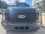 2023 F-150 Thumbnail 9