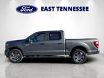 2023 F-150 Thumbnail 6