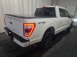 2023 F-150 Thumbnail 3