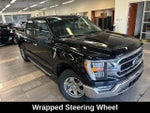 2023 F-150 Thumbnail 10