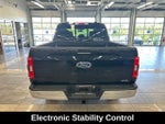 2023 F-150 Thumbnail 13