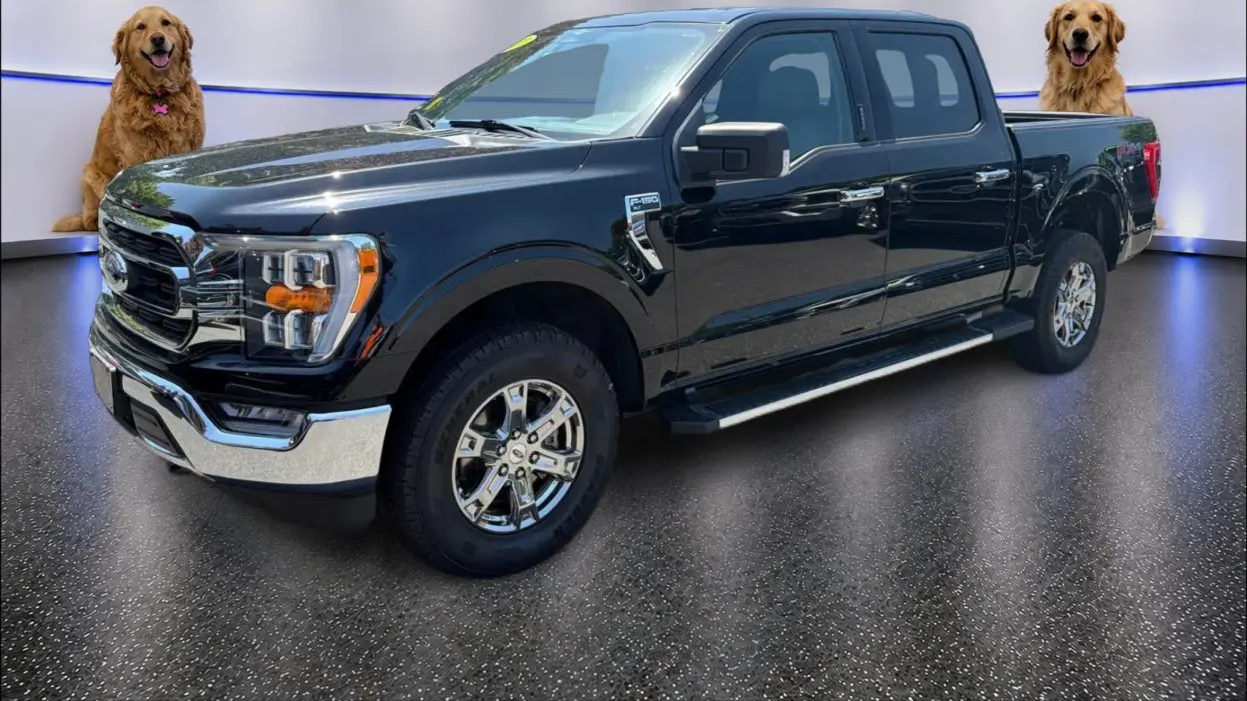 Preowned 2023 Ford F-150 XLT for Sale