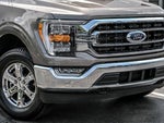 2023 F-150 Thumbnail 2