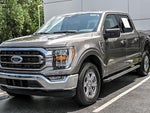 2023 F-150 Thumbnail 5