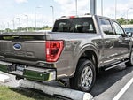 2023 F-150 Thumbnail 9