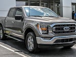 2023 F-150 Thumbnail 10