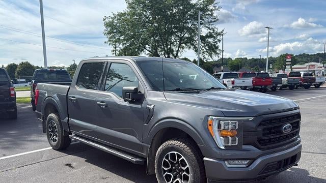 Preowned 2023 Ford F-150 XL for Sale