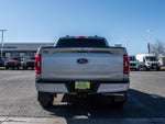 2023 F-150 Thumbnail 6