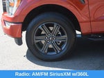 2023 F-150 Thumbnail 6