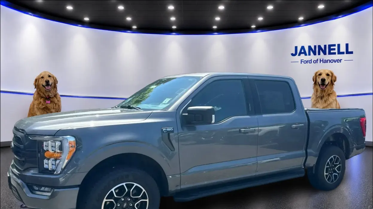 Preowned 2023 Ford F-150 XL for Sale