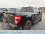 2023 F-150 Thumbnail 5